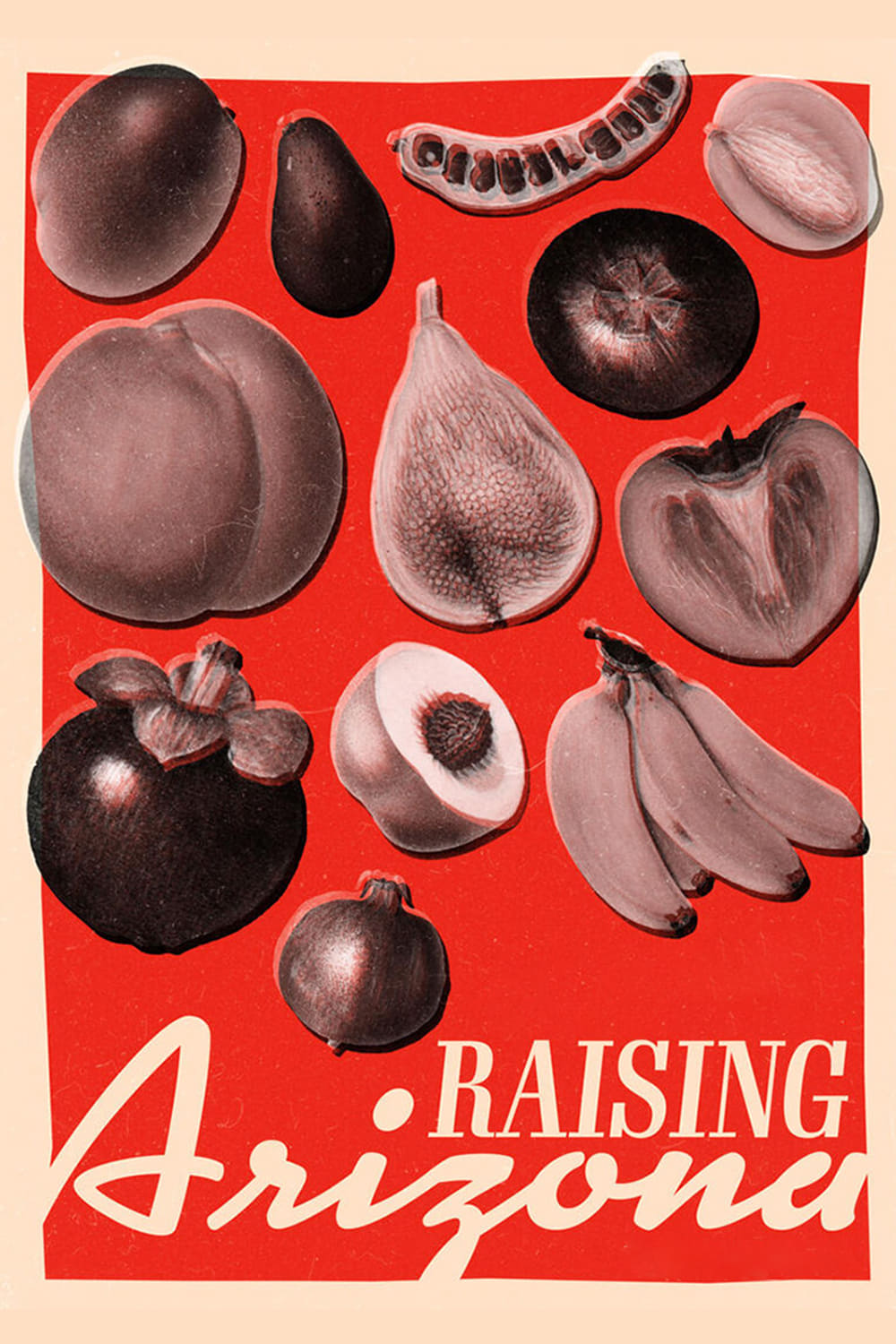 Raising Arizona (1987) [185700] (A1737669703) [[Movies]] --Plex--